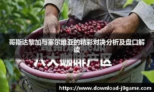 九游会J9网地登录